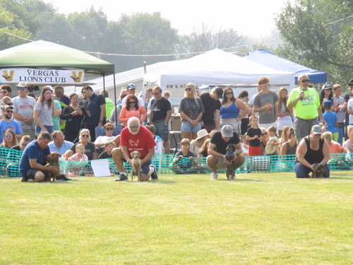 2026 Festival of Wieners. Vergas Looney Days Wiener Dog Races
